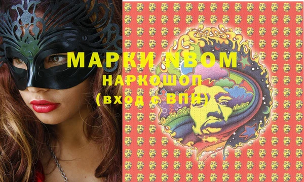 шишки Новозыбков