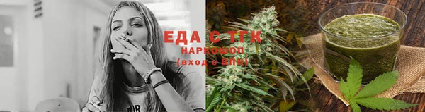 СК Новодвинск