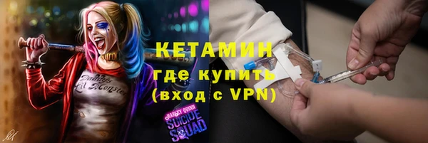шишки Новозыбков