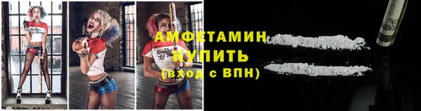 СК Новодвинск