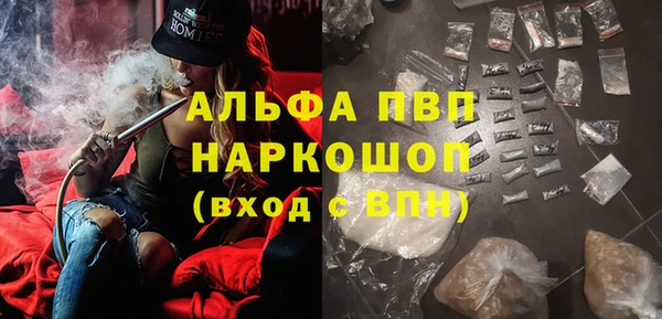 шишки Новозыбков