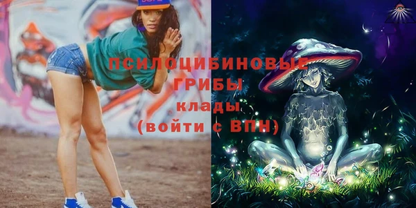 шишки Новозыбков