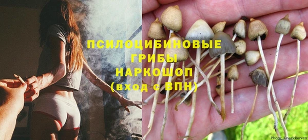 спайс Белая Калитва