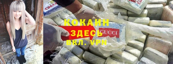 шишки Новозыбков