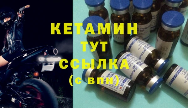 шишки Новозыбков