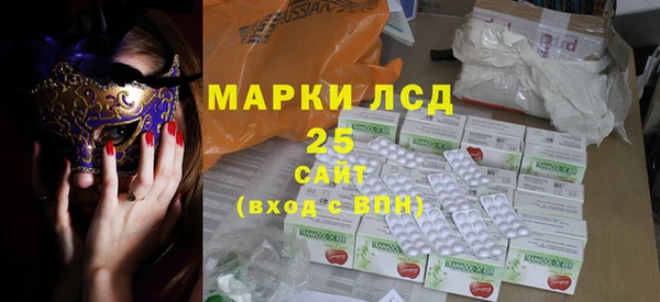 шишки Новозыбков
