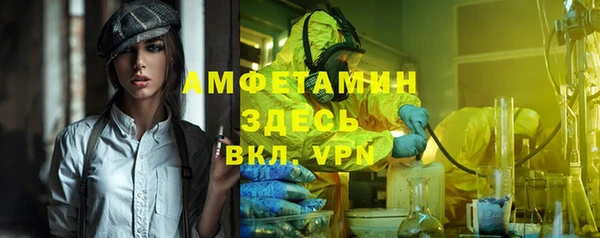 шишки Новозыбков