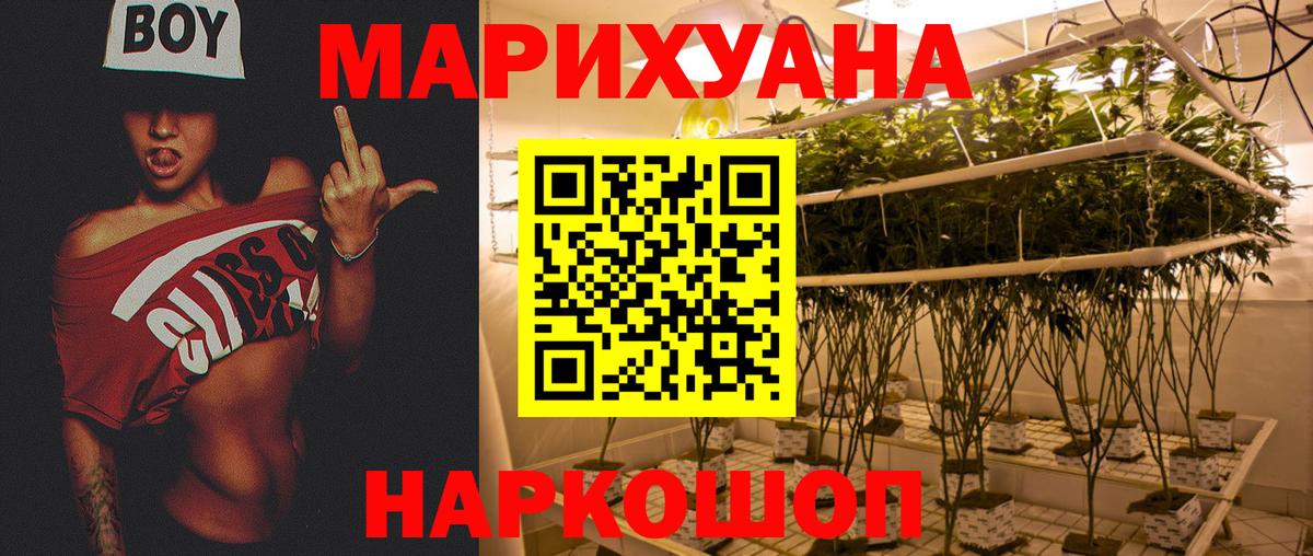 Бошки марихуана ГИДРОПОН  Конопля сатива  Конопля Amnesia  Протвино  Вход с VPN 